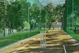 Cricket Net